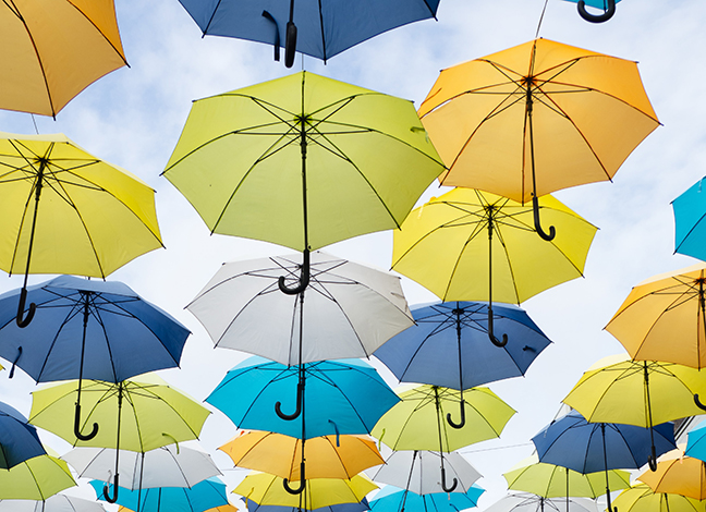 wim van t einde uj7eb7CgqRk unsplash